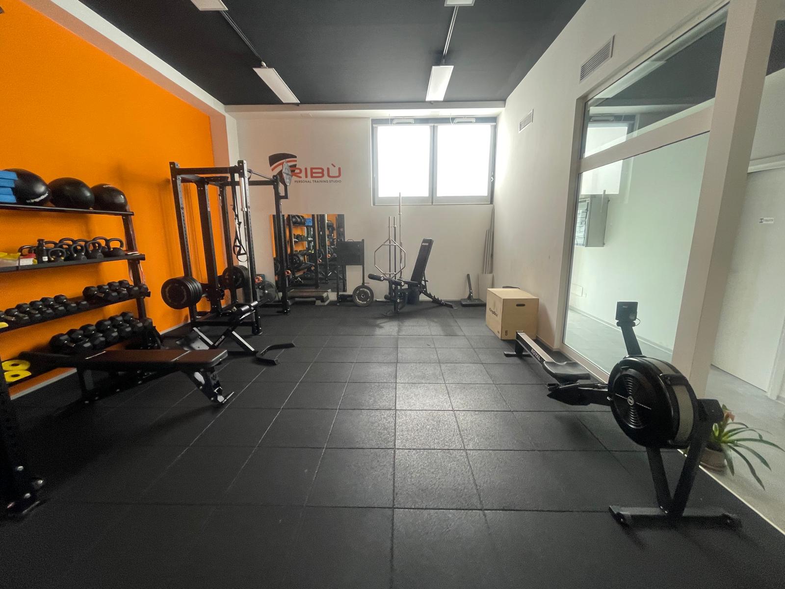 Studio Tribù - Area principale