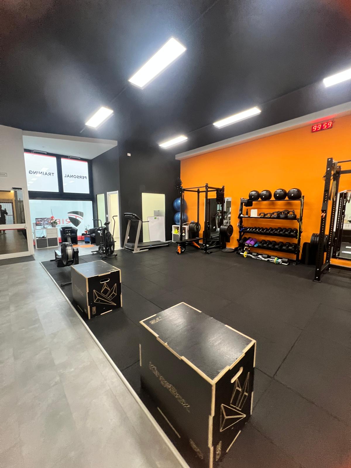 Studio Tribù - Panoramica